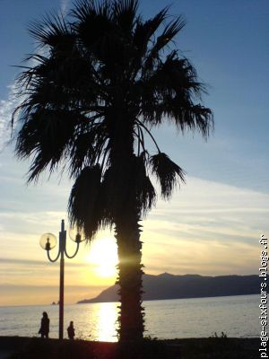 coucher de soleil sur la plage de sable de pin rolland