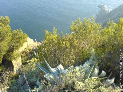 cap sicié vrai paysage de corse!