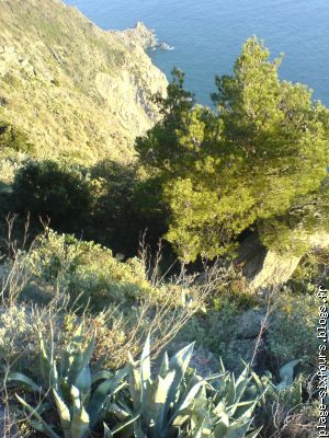 végétation luxuriante accessible en promenade pédestre