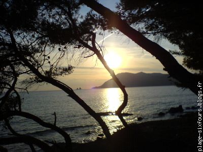 couchant sur le cap cisié