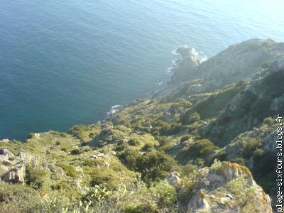 nature sauvage et intacte du côté du cap cisié!